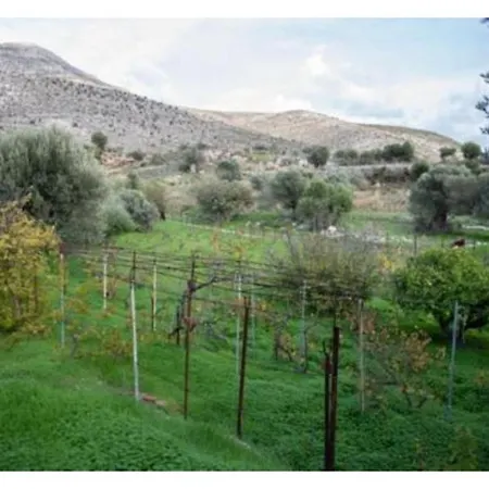 Semesterbostad Vineyard House Kálymnos