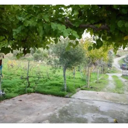 Vineyard House