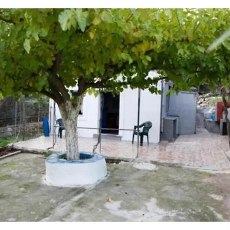Vineyard House