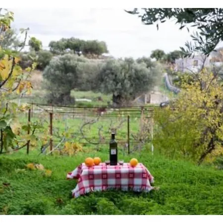 Vineyard House Kálymnos